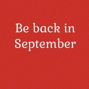 MARIO LORENZ Christmas Holiday Throw Blanket Sherpa Forest Green Plaid NWT